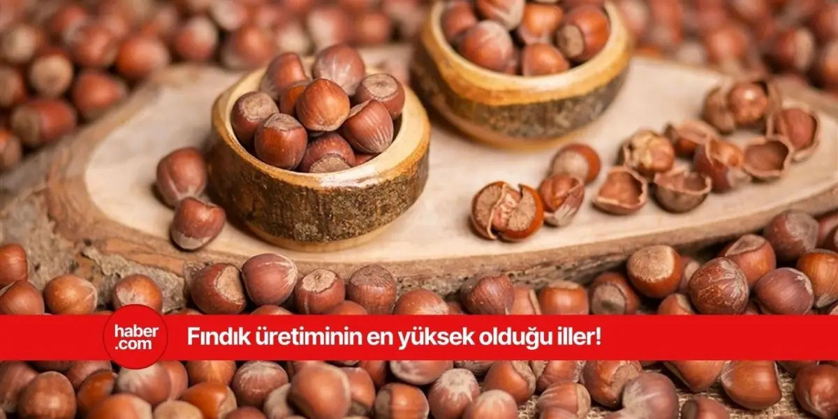 Türkiye'nin en çok fındık üreten illeri açıklandı! İşte o iller