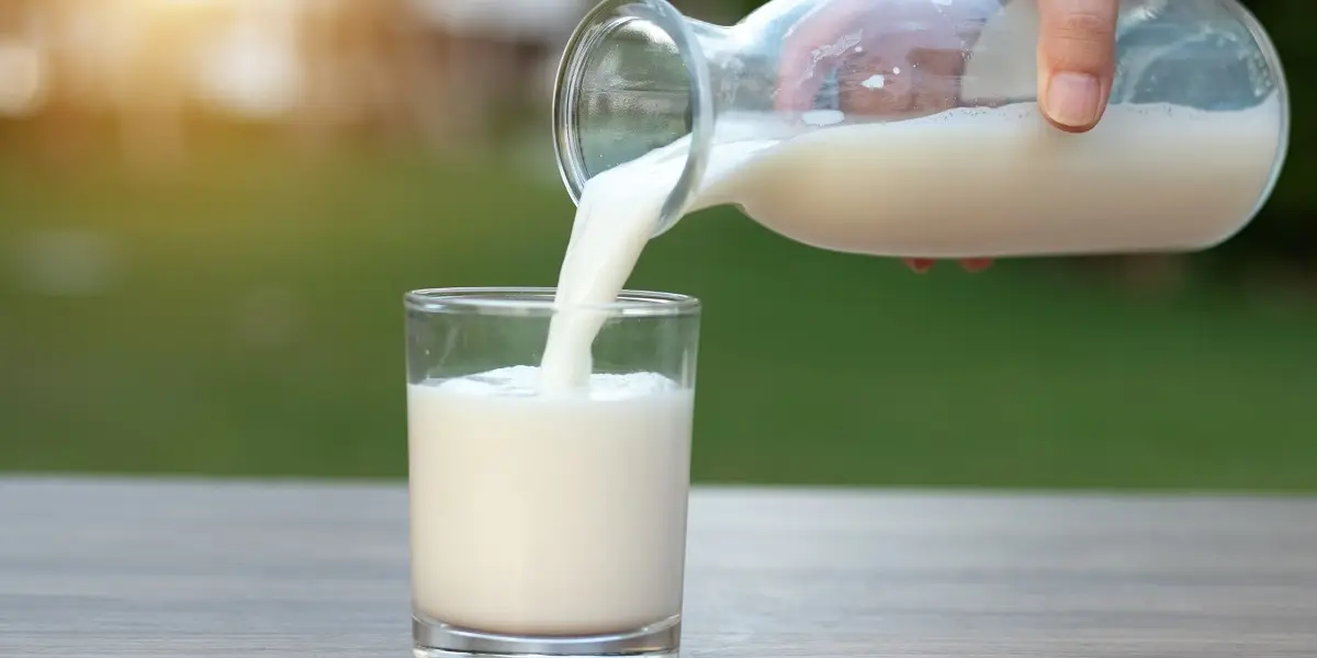 Bakanlıktan 4 Büyük Süt Şirketine Rekor Ceza!