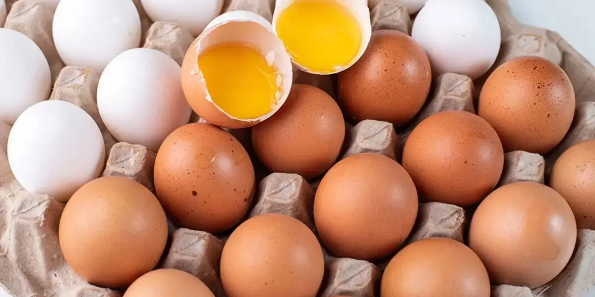 Yumurta Etiketlerinde Yeni Dönem