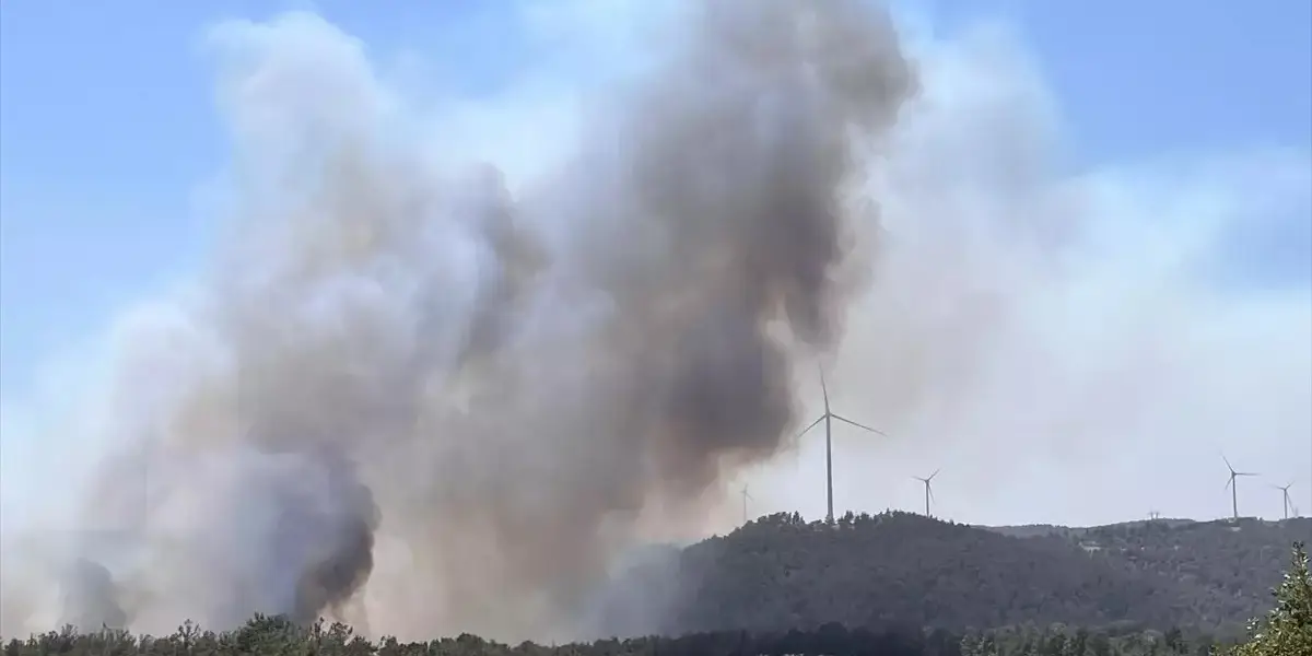 Çanakkale'de Orman Yangını: Kazdağları Tehlikede!