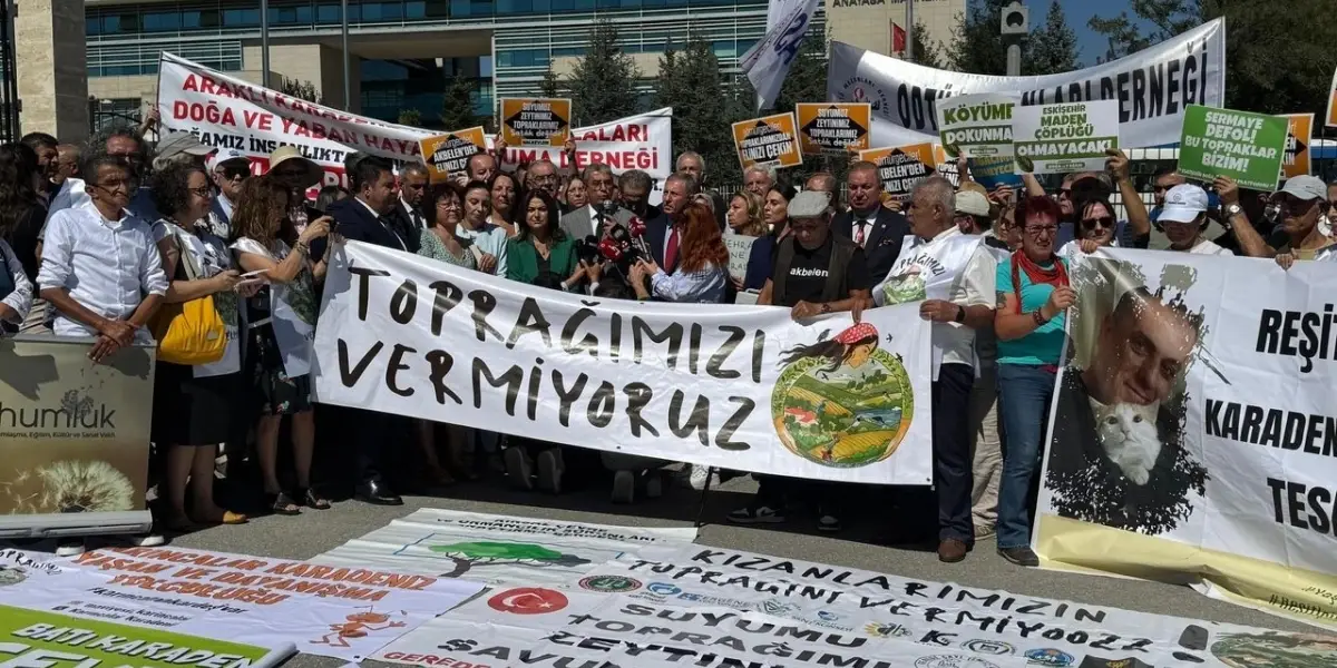 AYM'ye Zeytin-Maden Yasası Başvurusu Yapıldı