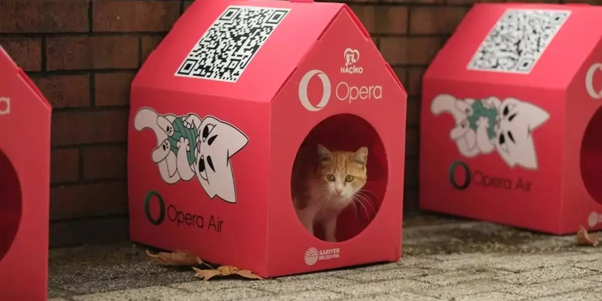 İstanbul'un Sokak Kedileri Artık "Opera Air" Güvencesinde