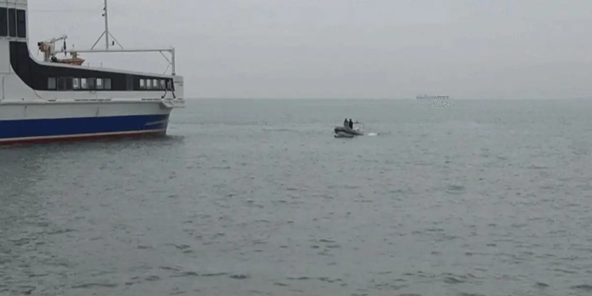 Yalova'da Dehşet: İDO İskelesi Açıklarında Kadın Cesedi Bulundu!