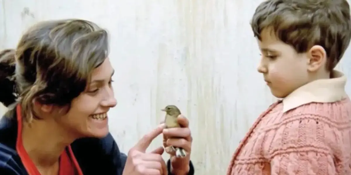 Münih'te Türk Sineması Rüzgarı: 37. Türk Film Günleri Başlıyor!