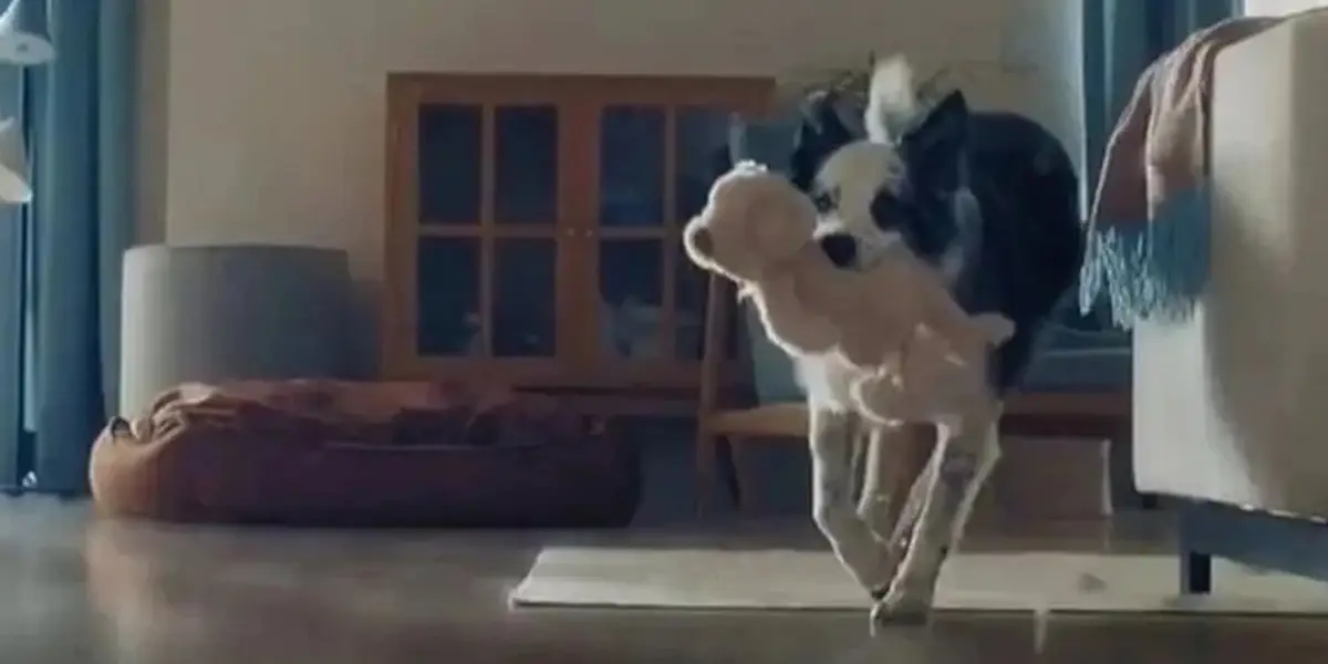 Bosch'un "Anneler Günü" Reklamı Yayından Kaldırıldı!