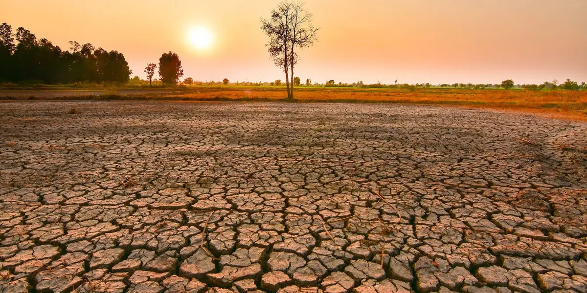 İklim Değişikliğinde Kritik Eşik Aşıldı: 150 Yılın En Güçlü El Nino Dönemi Yaşanıyor!