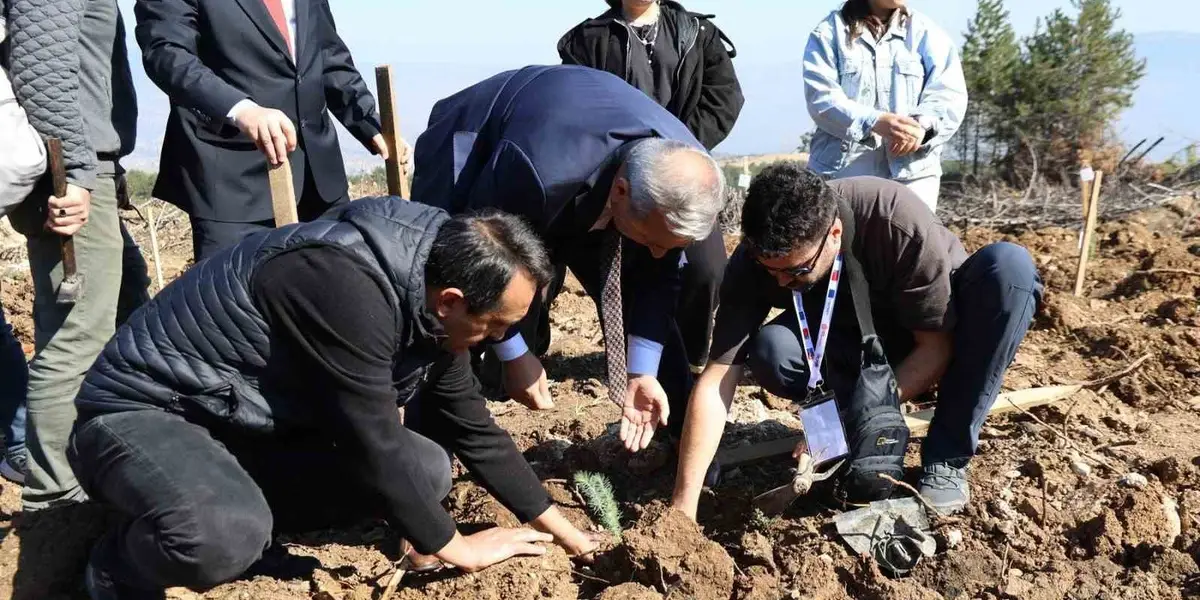 Karabük'te ErasmusDays Kapsamında 192 Kişi 250 Fidan Dikti
