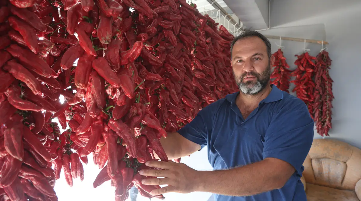 Acısı zehir gibi ama yapan paraya para demiyor. Demeti 500 TL'den alıcı buluyor