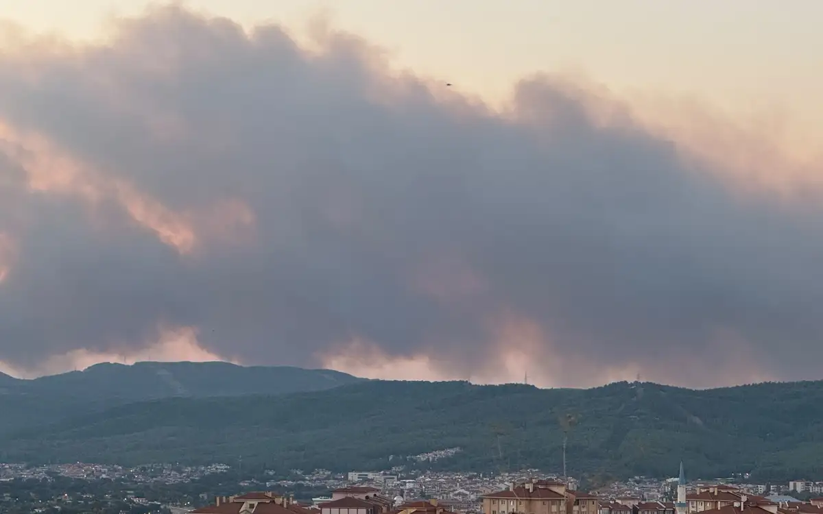 Muğla'da orman yangını kuvvetli rüzgar nedeniyle büyüdü