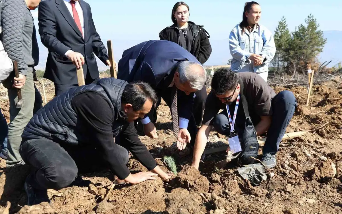 Karabük'te ErasmusDays Kapsamında 192 Kişi 250 Fidan Dikti