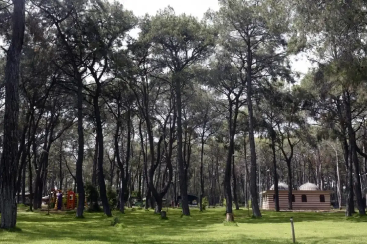 Antalya’da akılalmaz olay: Silahla vuruldu, ormanda 2 saat yürüdü!