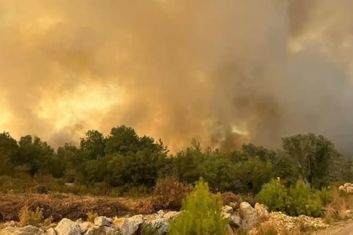 Antalya'nın Serik İlçesinde Korkutan Yangın!