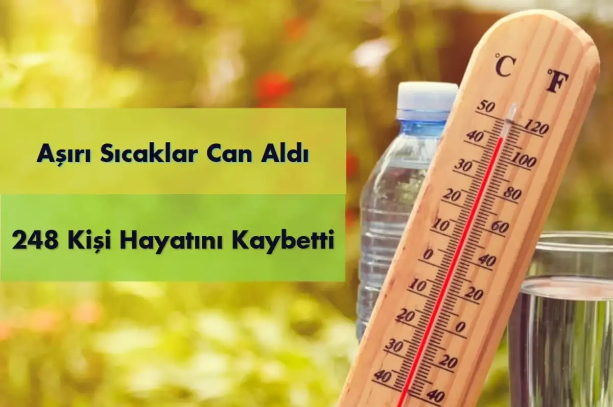 Aşırı Sıcaklar Can Aldı: 248 Kişi Hayatını Kaybetti