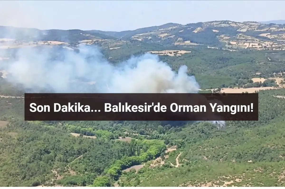 Balıkesir'de Ormanlık Alanda Yangın! İşte Son Durum