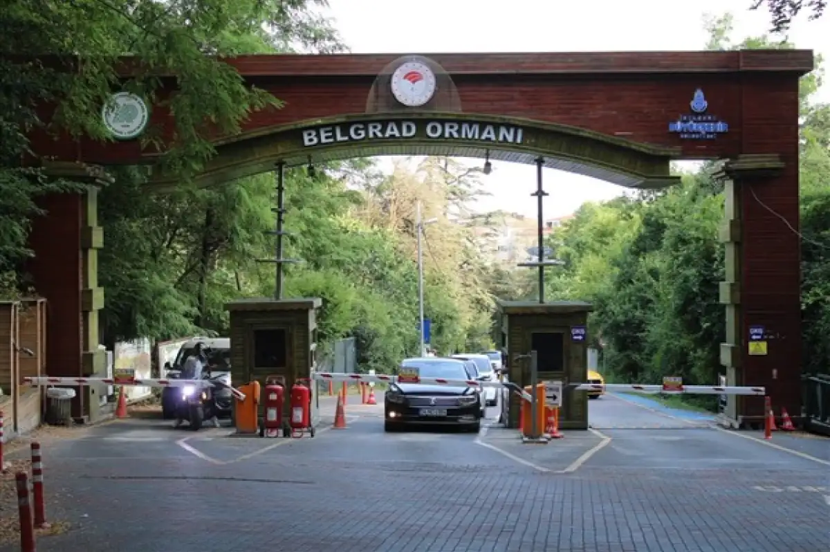 Belgrad Ormanı'nın İşletmesi İBB'den Alındı: Yeni İşletmeci Belli Oldu