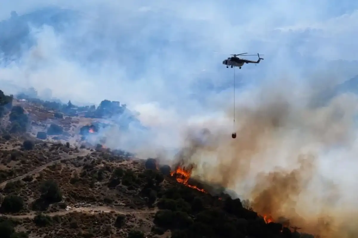 Bolu, Manisa ve İzmir'de Orman Yangınları: Çanakkale'deki Kontrol Altında!