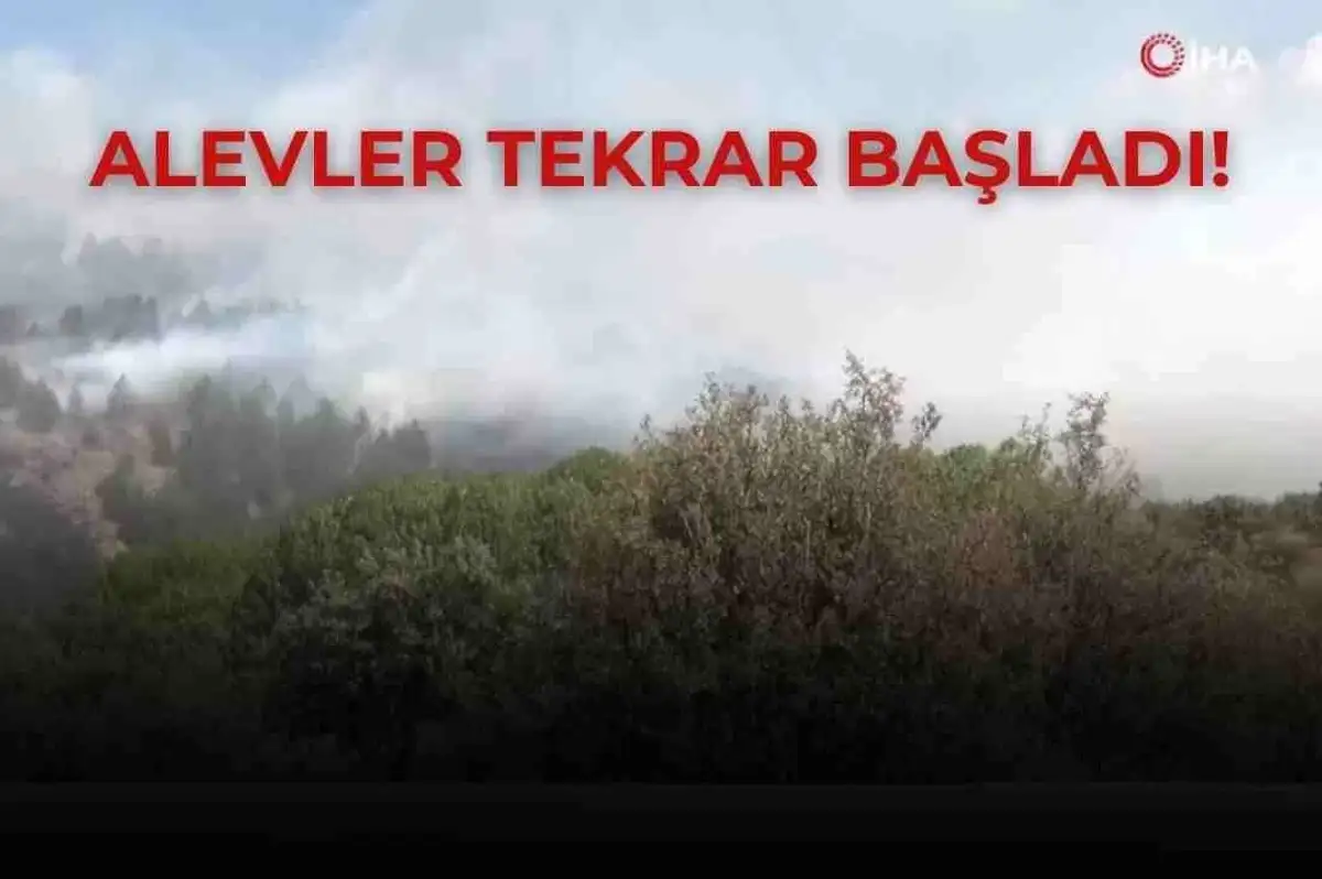 Bolu’da Kontrol Altına Alınan Yangın Tekrar Alevlendi!
