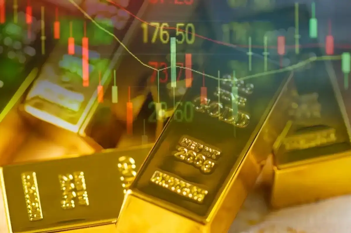Borsa ve Altında Kritik Tahminler! Ünlü Ekonomist Yatırımcıları Uyardı