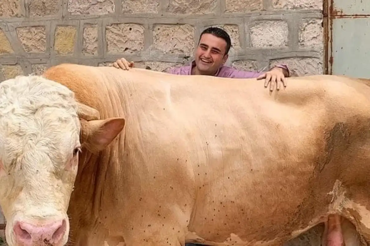 Burak Özdemir, Yaptığı Hareketle Gönülleri Fethetti