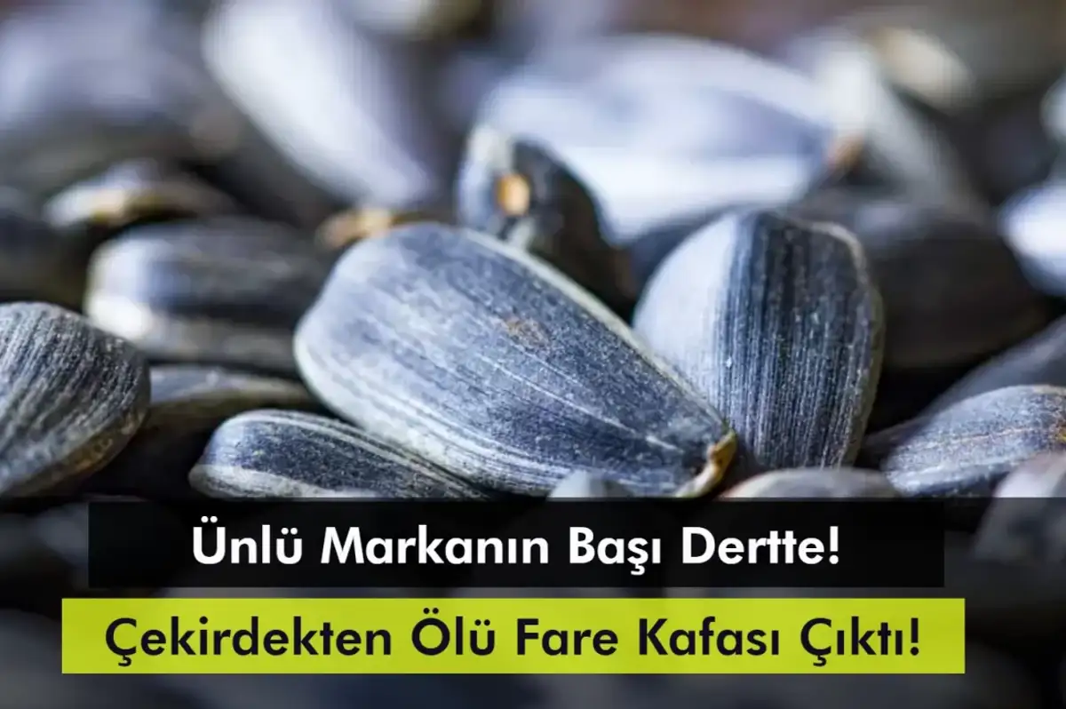 Çekirdekten Ölü Fare Kafası Çıktı! Paketinde 'Üstün Ödüllü' İbaresi Var!