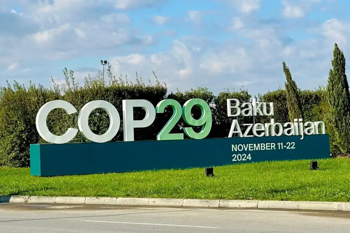 COP29 Zirvesi Heyecanı: Bakü'de Neler Bekleniyor?