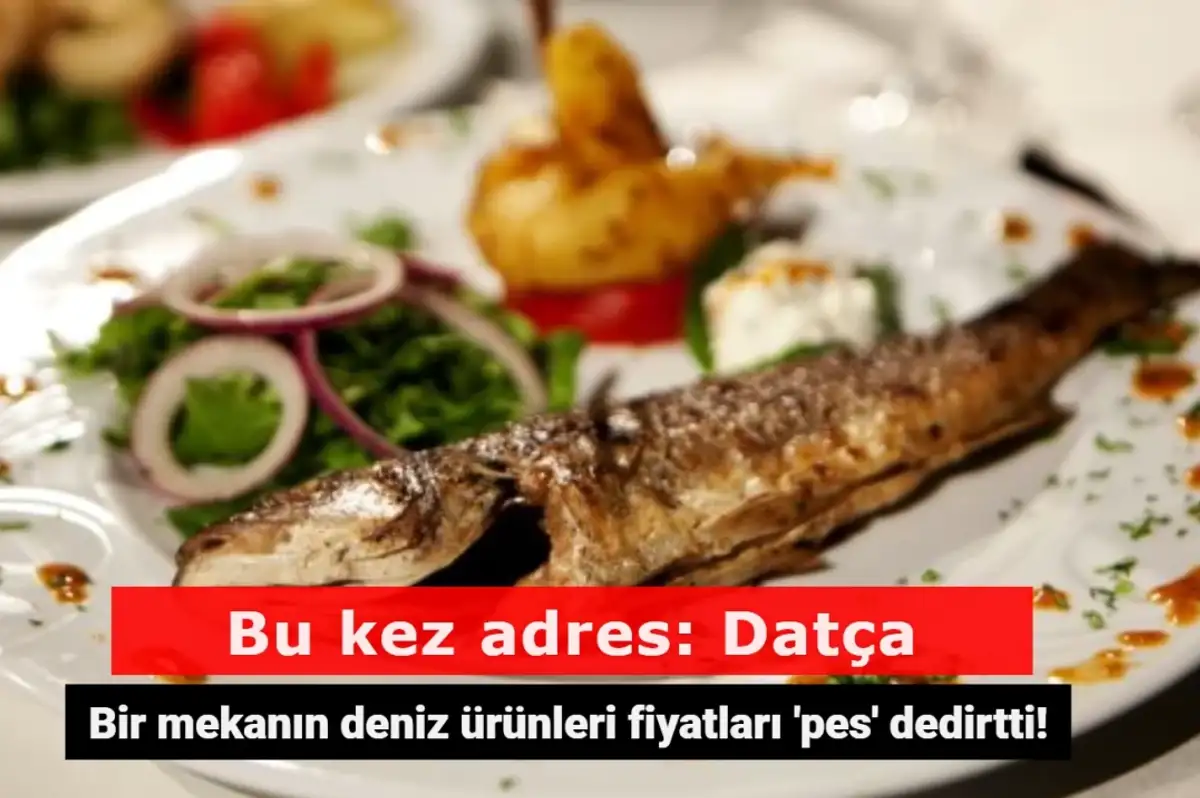 Datça'da Bir Mekanın Deniz Ürünleri Fiyat Listesi Yunan Adaları'na Giden Turistleri Haklı Çıkardı