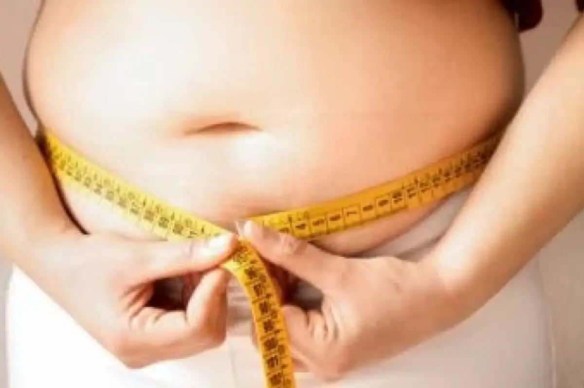 Dünya Sağlık Örgütü: Türkiye'de Obezite Oranı Yüzde 94'e Ulaşacak!