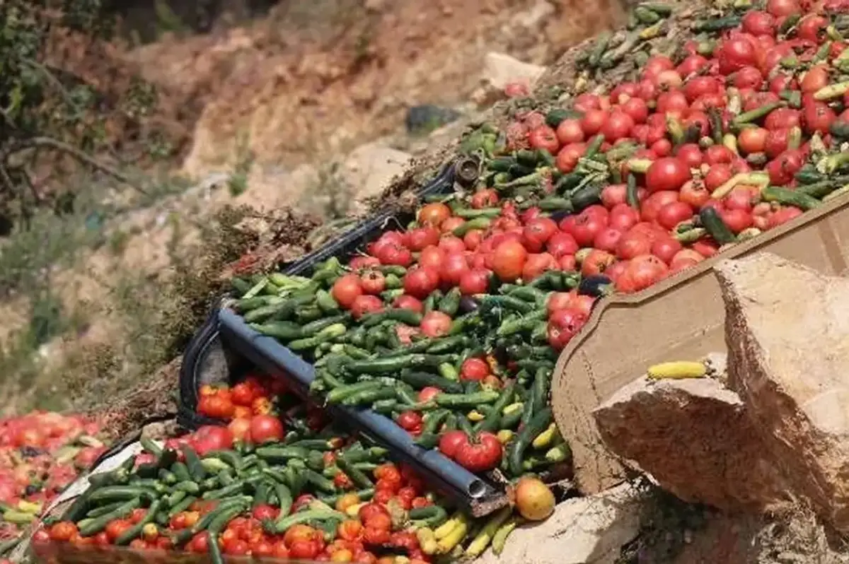 Fiyat Artırmak İçin Sebze ve Meyveler Çöpe Atılıyor! 2025 Yılından İtibaren Cezası 177 Bin Lira Olacak