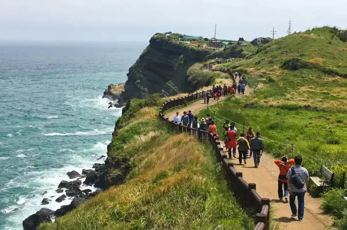 Güney Kore’de Gizemli Kayıp: Jeju Adası’nda 38 Vietnamlı Turist Kayıp