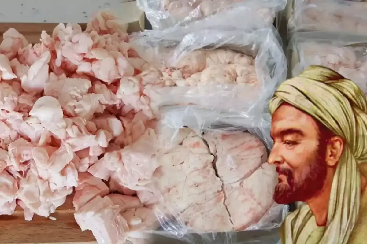 İbn-i Sina'nın Mucizesi: Kuyruk Yağı ile Ekrem İltihabına Doğal Çözüm!
