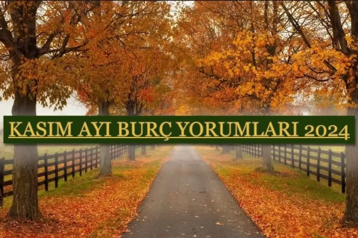 Kasım Ayı Burç Yorumları 2024! Kasım'ın En Şanslı Burçları Hangileri?