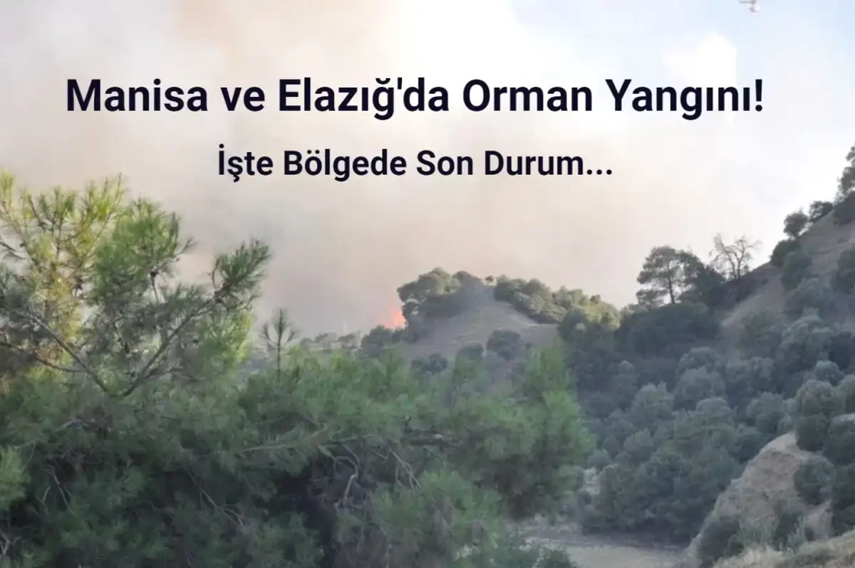 Manisa ve Elazığ'da Orman Yangını