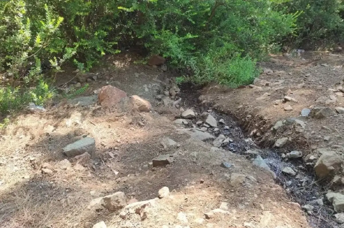 Muğla'da Ormana Terk Edilmiş Bebek Bulundu