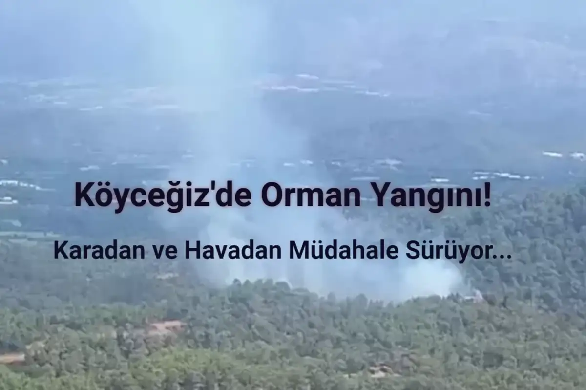 Muğla'nın Köyceğiz İlçesinde Orman Yangını Çıktı!