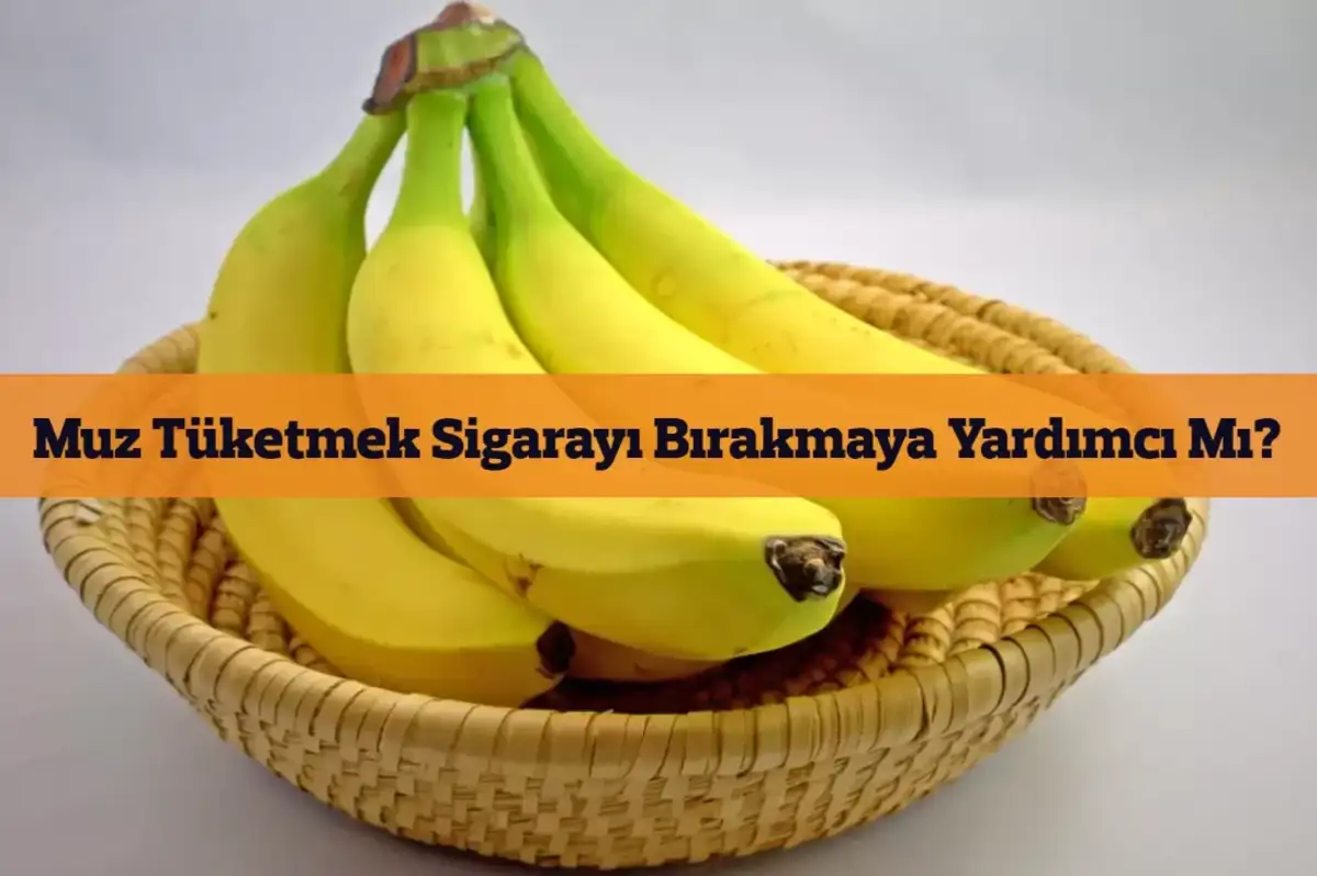 Muz Tüketmek Sigarayı Bırakmaya Yardımcı Mı?