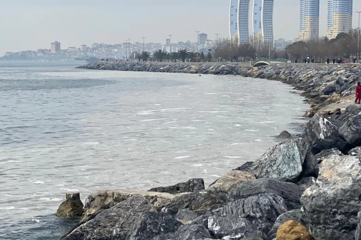 Pendik'te Korkunç Olay: 79 Yaşındaki Kadın Denize Atladı! İntihar Şüphesi Araştırılıyor
