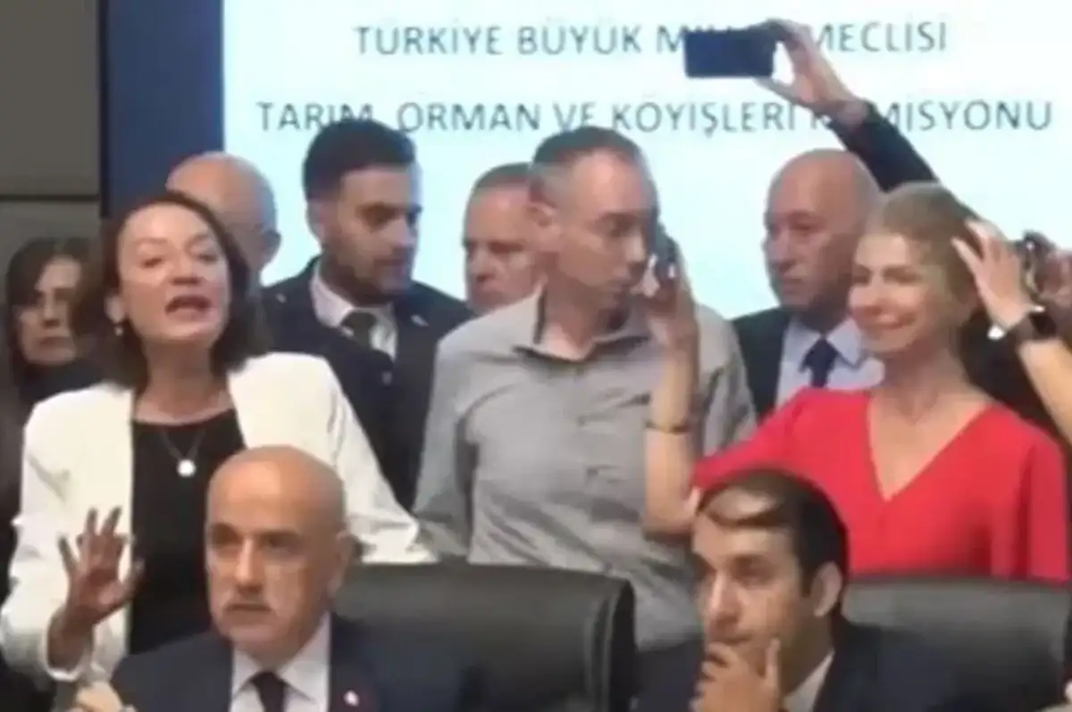 Sokak Hayvanları ile İlgili Kanunun İlk 7 Maddesi Komisyondan Geçti! Ötenazi Tekliften Çıktı!