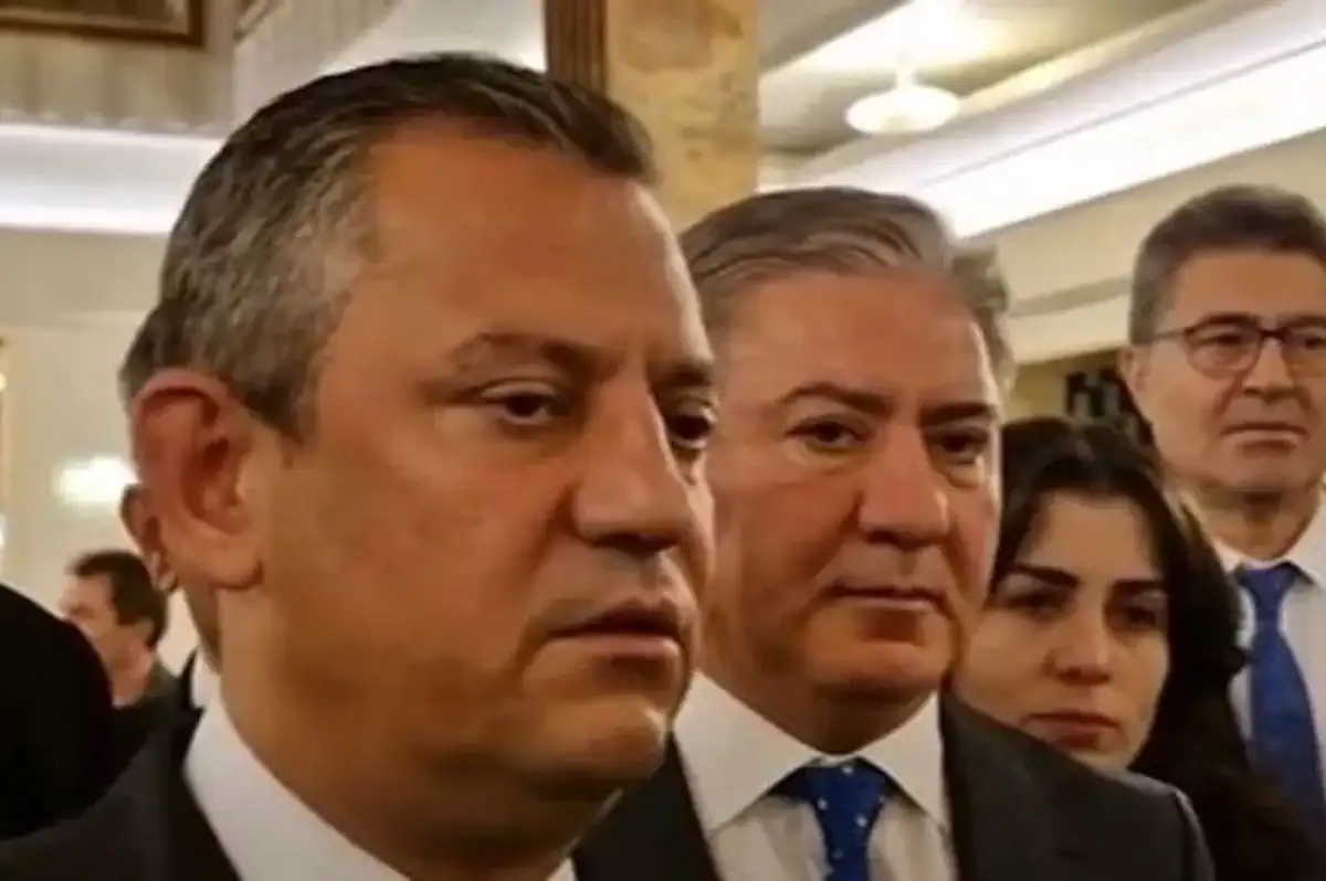 Sokak Hayvanları Yasası Meclisten Geçti! CHP Anayasa Mahkemesi'ne Gidiyor
