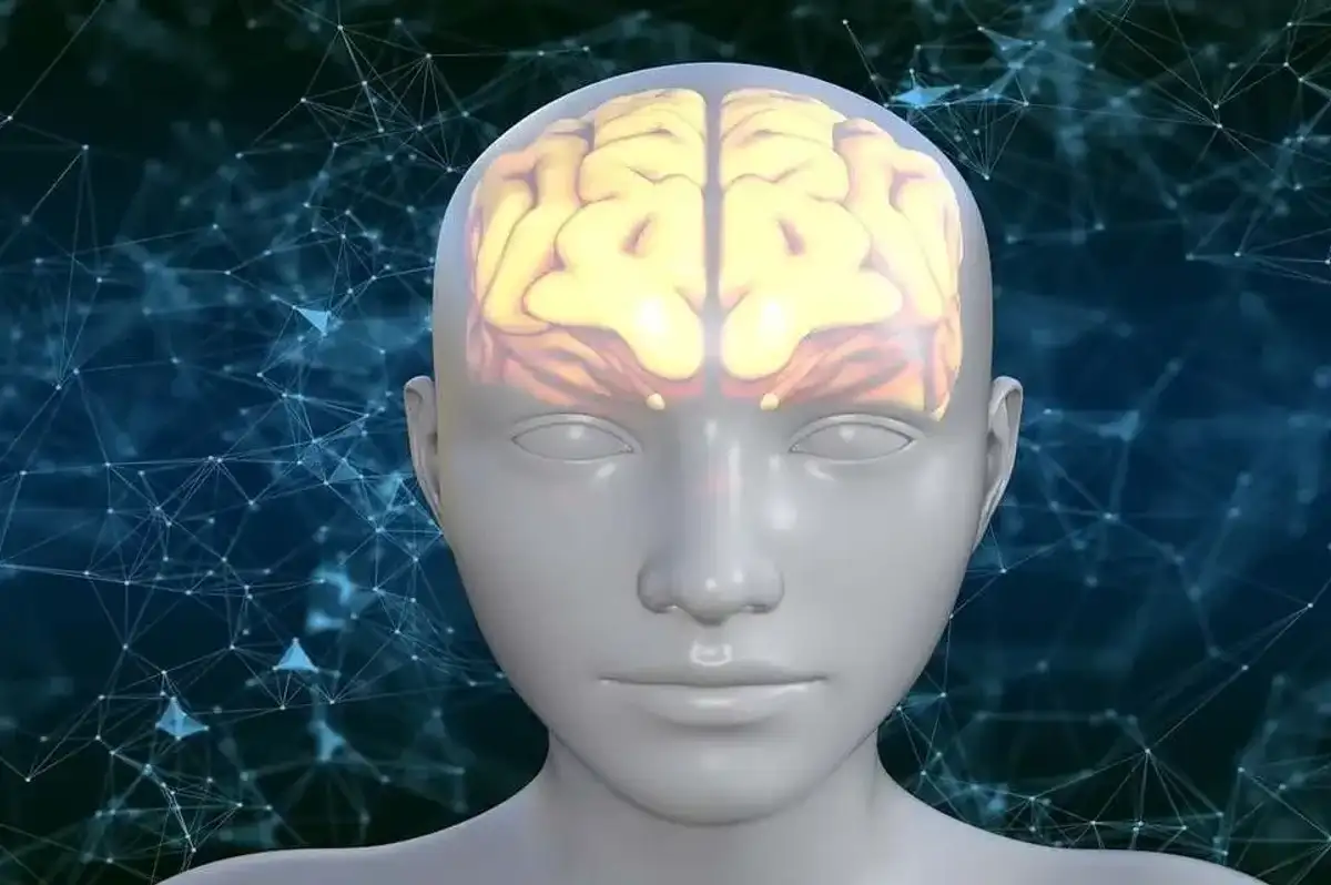 Türk Bilim İnsanlarından Tarihi Buluş! Epilepsi Hastaları İçin Özel Buluş Müjdesi
