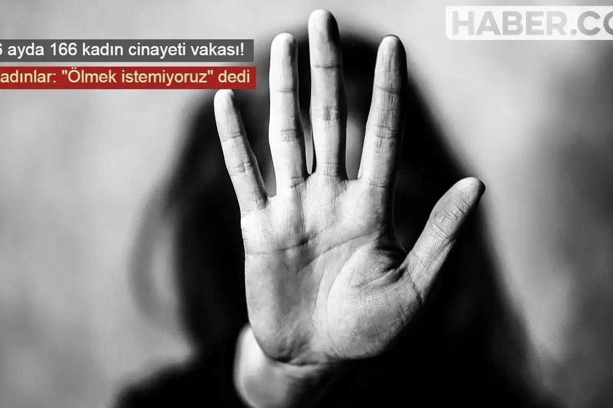Türkiye’de 6 Ayda 166 Kadın Cinayeti Vakası Bildirildi!