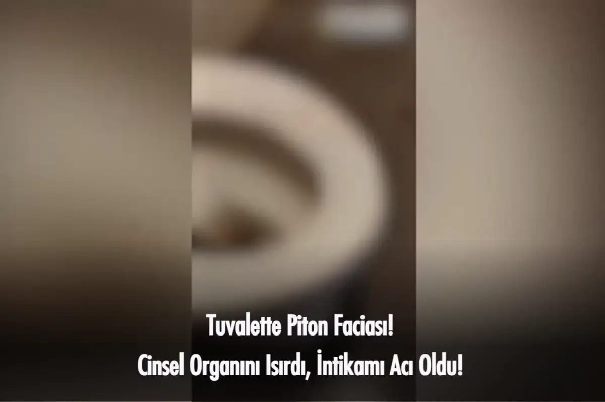 Tuvaletini Yaparken Pitonun Saldırısına Uğradı! Cinsel Organını Isıran Yılandan Böyle İntikam Aldı