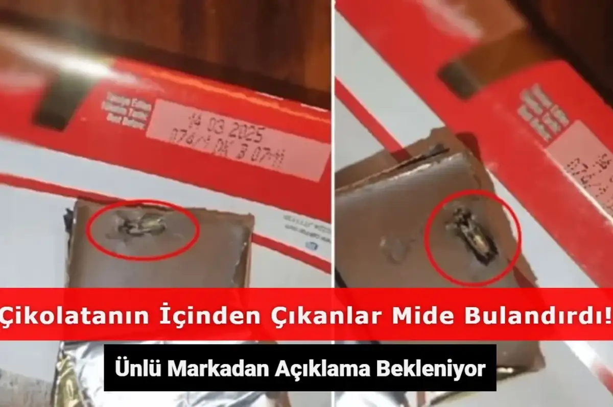 Ünlü Çikolata Markasının Başı Dertte: İçinden Çıkanlar Mide Bulandırdı!