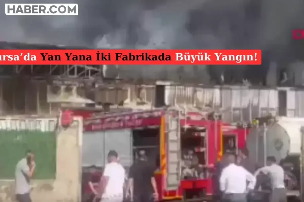 Vakıf Mahallesi’nde Çifte Yangın: Kağıt ve Elyaf Fabrikaları Cayır Cayır Yanıyor!