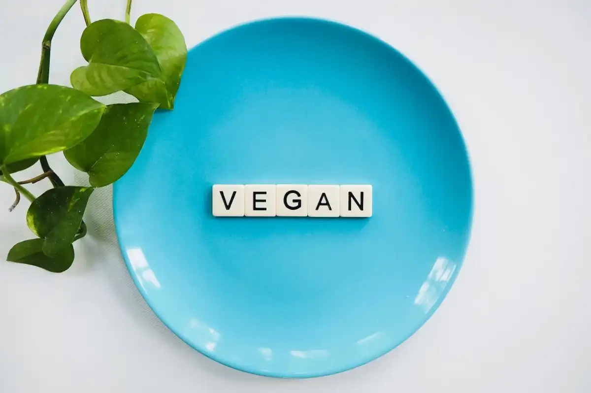 Vegan Ürünler Gerçekten Vegan mı? Detaylı İnceleme