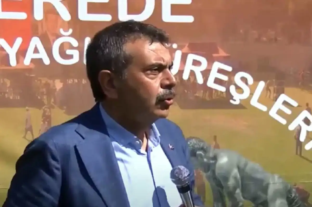 Yağlı Güreş Programına Bakan Tekin'de Katıldı