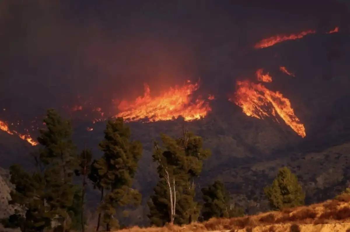 Los Angeles'ta Yangın Tekrar Başladı