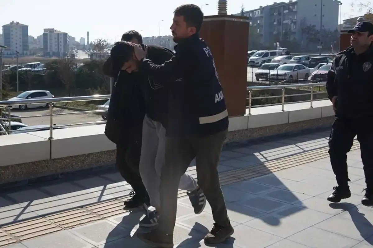 Ankara Polatlı'da Genç Kızı ve Köpeğini Darbeden Şüpheli Tutuklandı
