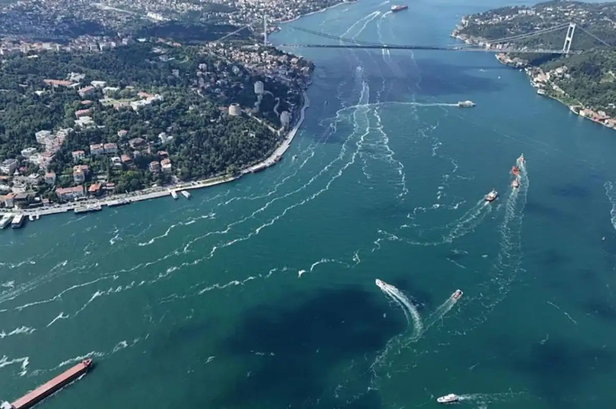 İstanbul'da Havalar Soğuyunca Müsilaj Yok Oldu