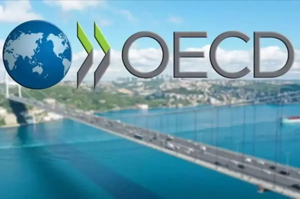 Türkiye'den Büyük Başarı: OECD Ülkeleri Arasında En Hızlı Büyüyen Ekonomi Oldu