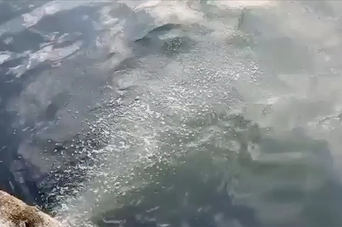 İSKİ'ye Rekor Ceza! Marmara Denizi'ne Atık Su Deşarjı Yapıldığı Tespit Edildi